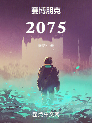  赛博朋克：2075